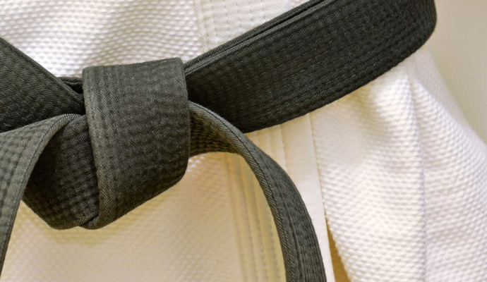 LSS Michigan- Lean Six Sigma Black Belt LSS Michigan- Lean Six Sigma Black Belt