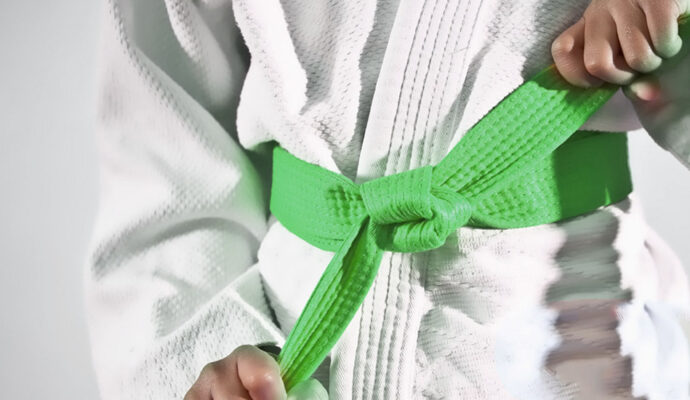 LSS Michigan- Lean Six Sigma Green Belt LSS Michigan- Lean Six Sigma Green Belt