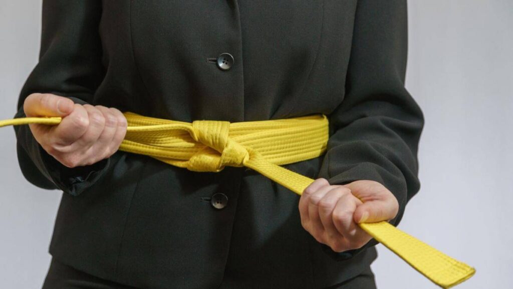 LSS Michigan-Lean Six Sigma Yellow Belt