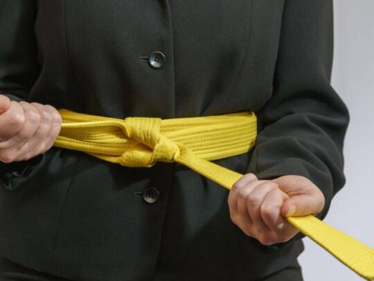 LSS Michigan-Lean Six Sigma Yellow Belt